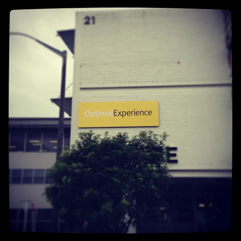 The Optimal Experience office in Auckland